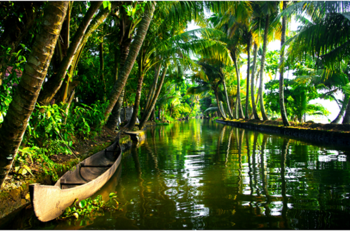 Kerala tour packages