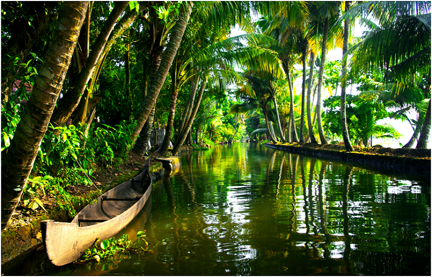 Kerala tour packages